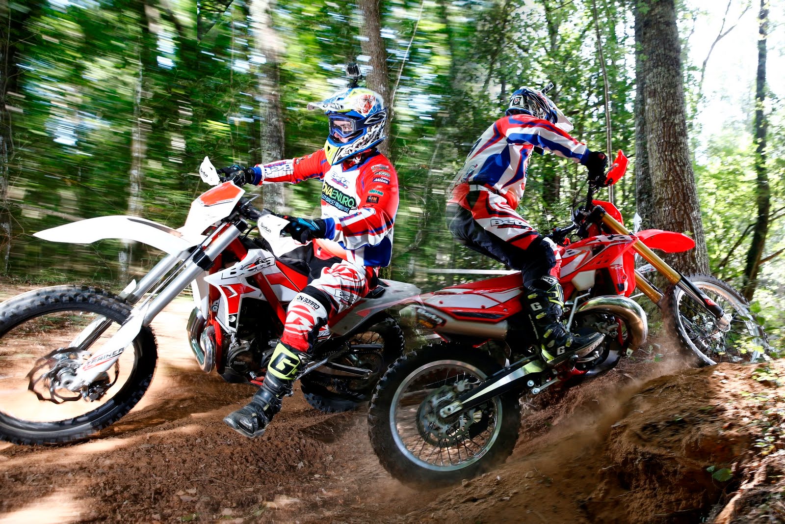 Accessoires BETA RR 2T 300/250 (2013/2019)
 Retrouvez tous les Accessoires BETA RR 2T 300/250 (2013/2019)
 origine BETA -DISPO