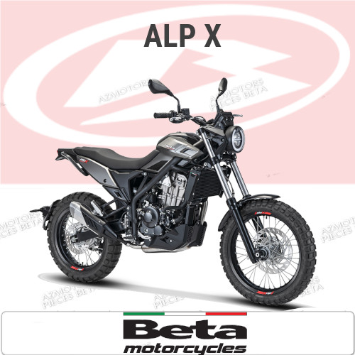 ALP X Pièces ALP_X origine BETA 