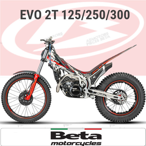 Pièces EVO 2T 125/250/300 Pièces TRIAL EVO 2T 125/250/300 – Entretien et Accessoires Moto origine BETA 