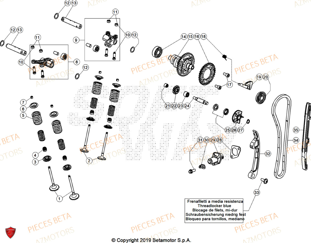 Distribution AZMOTORS Pieces BETA TRIAL EVO 300 4T FACTORY - (2025)
