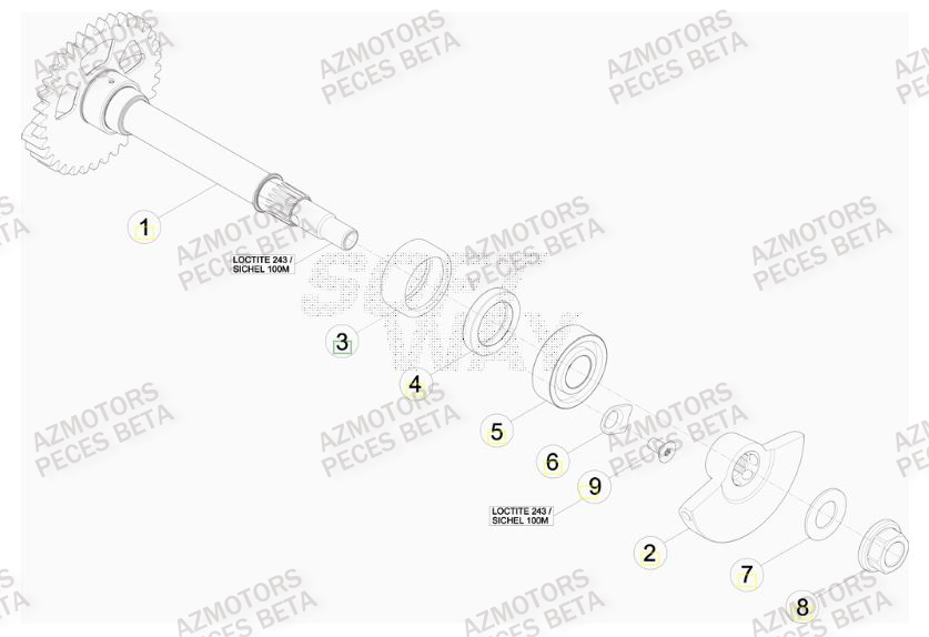 Arbre Equilibrage AZMOTORS PiÃ¨ces BETA RR FACTORY 350cc 4T - [2012]