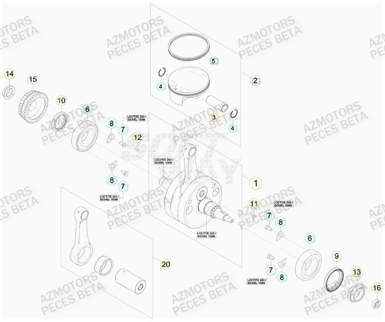 Vilebrequin AZMOTORS PiÃ¨ces BETA RR FACTORY 350cc 4T - [2014]