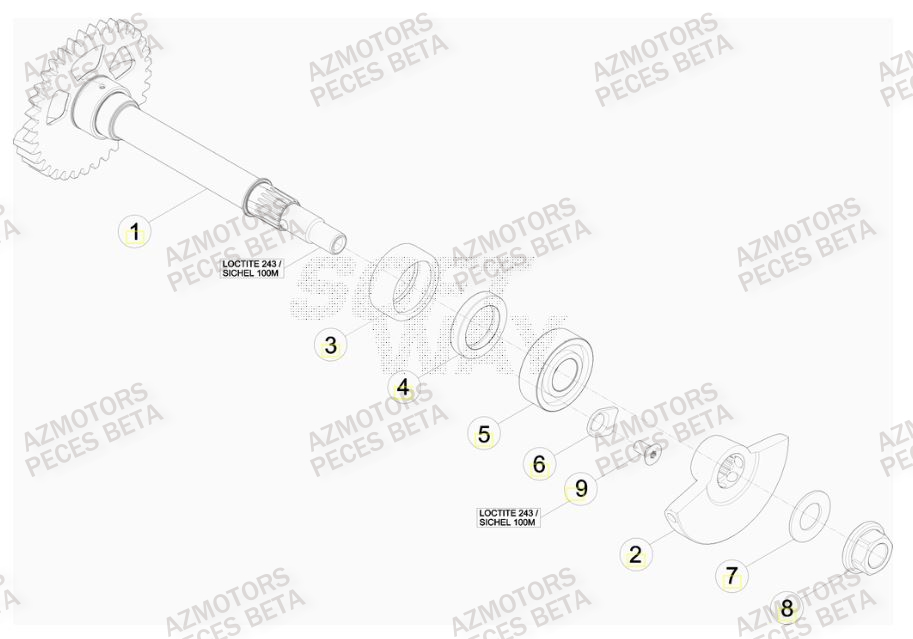 Arbre Equilibrage AZMOTORS PiÃ¨ces BETA RR 4T RACING 430 -(2015)

