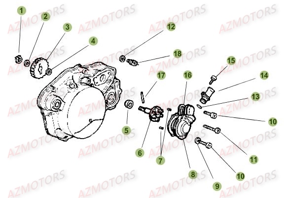 Pompe A Eau AZMOTORS PiÃ¨ces Beta RR 50 MOTARD SPORT - 2017