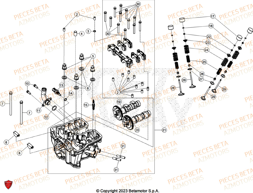 Culasse AZMOTORS PiÃ¨ces ALP 4.0 350 4T - 2025