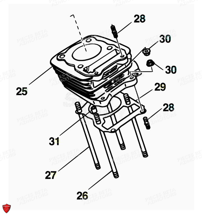 Cylindre AZMOTORS PiÃ¨ces Alp 200cc [2008-2011]
