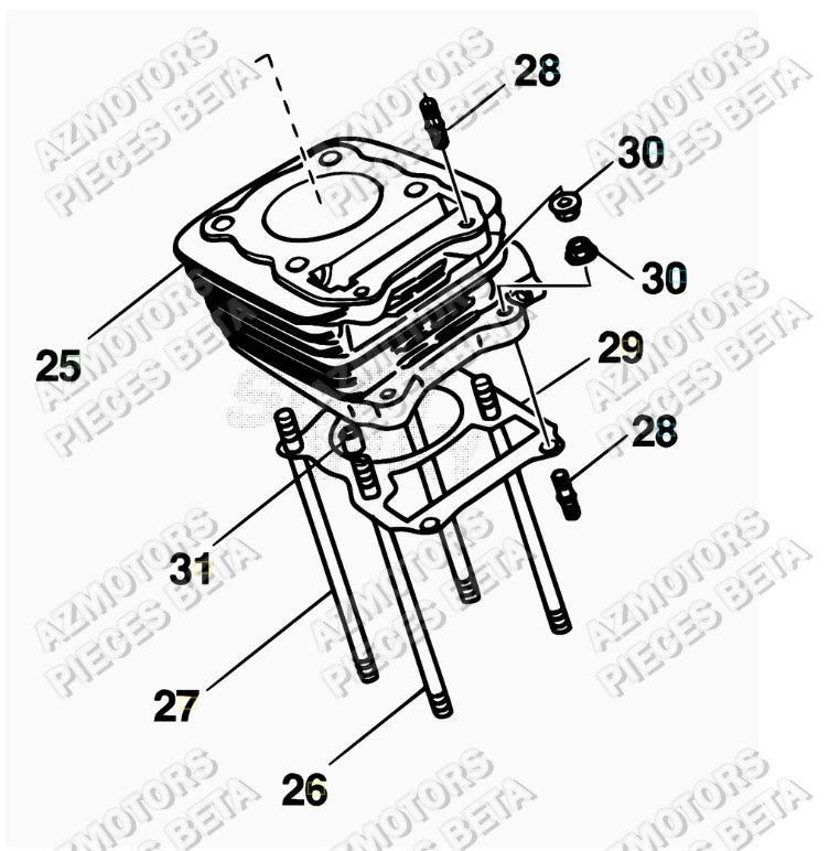 Cylindre AZMOTORS PiÃ¨ces ALP 200 [2016-2017]