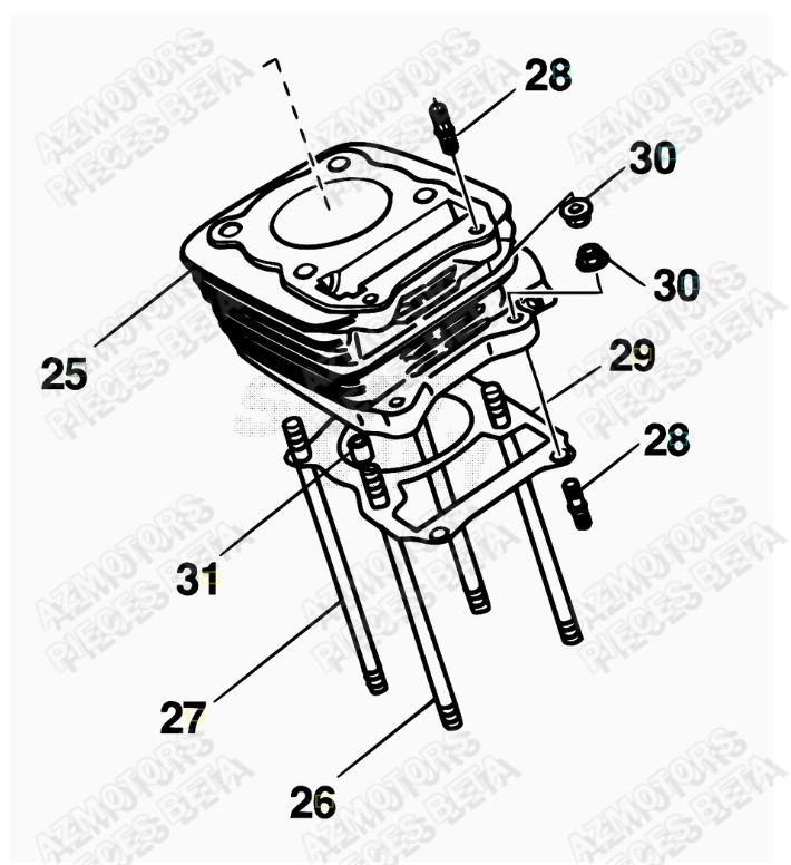 Cylindre AZMOTORS PiÃ¨ces ALP 200 [2018]
