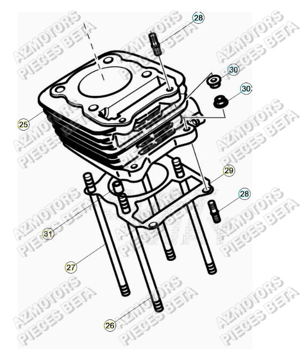 Cylindre AZMOTORS PiÃ¨ces ALP 200 [2021]