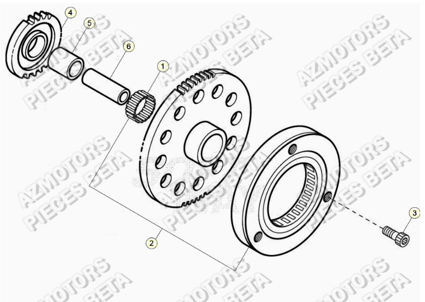 Roue Libre AZMOTORS PiÃ¨ces ALP 200 [2021]