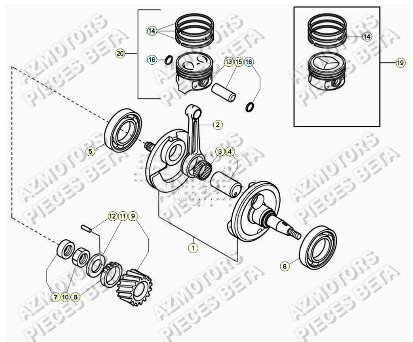 Vilebrequin AZMOTORS PiÃ¨ces ALP 200 [2021]