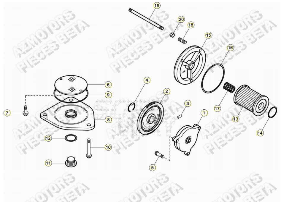Pompe A Huile AZMOTORS PiÃ¨ces ALP 200 [2022-2023]