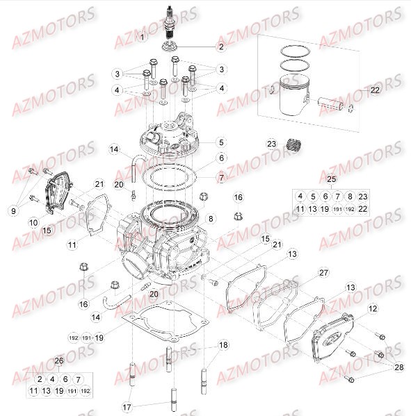 Cylindre Culasse Distribution AZMOTORS PiÃ¨ces BETA RR XTRAINER 300 2T - (2016)