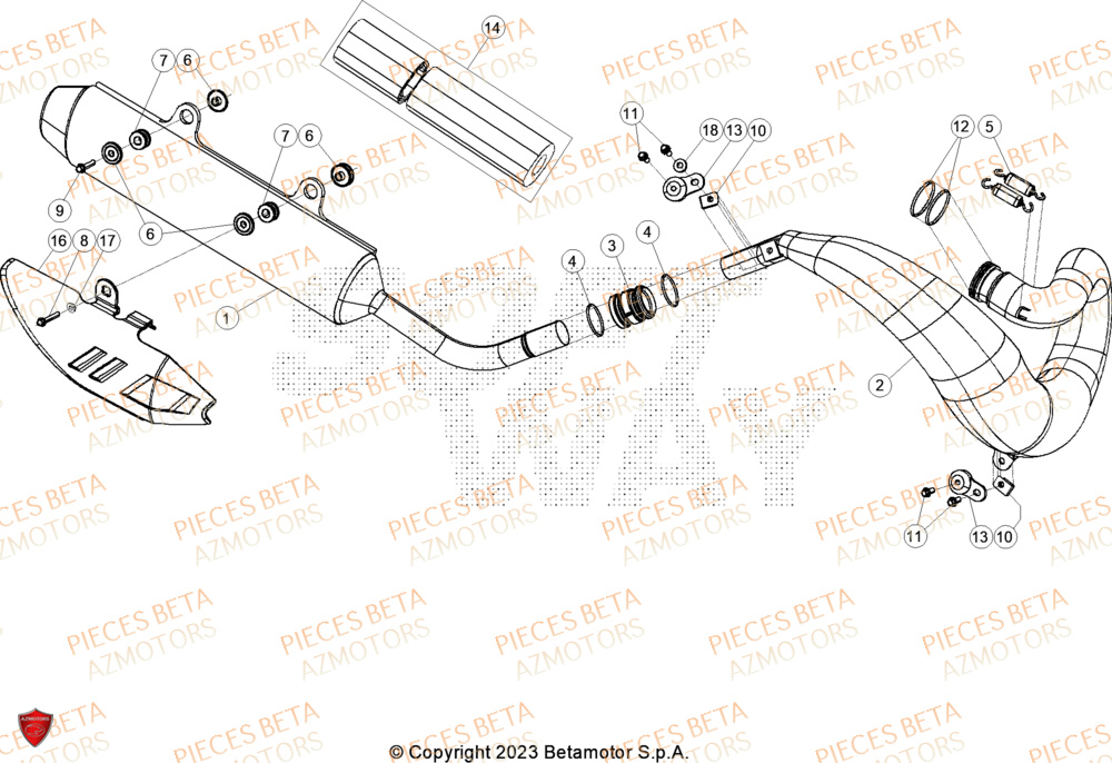 Echappement AZMOTORS Pieces BETA CROSS RX 300 2T - (2024)