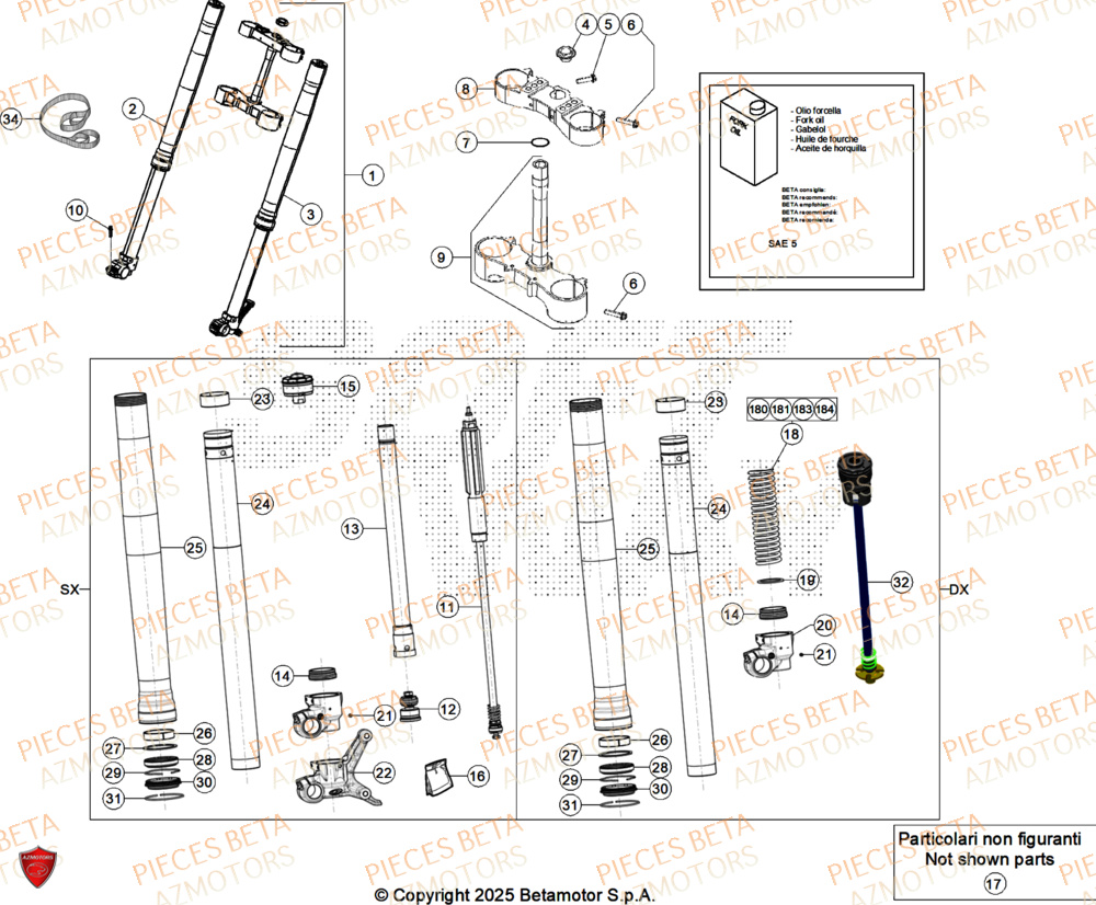 Fourche AZMOTORS Pieces BETA ENDURO RR 300 2T X-PRO - (2026)