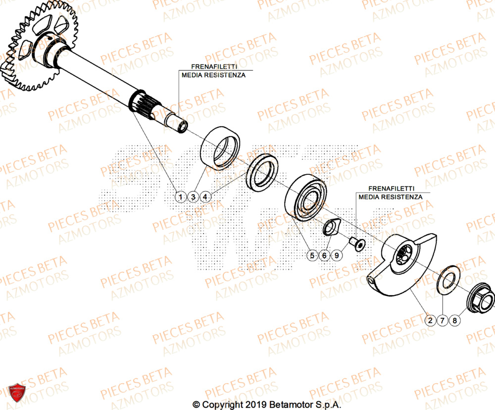 Arbre Equilibrage AZMOTORS Pieces BETA ENDURO RR 480 4T RACE (2026)
