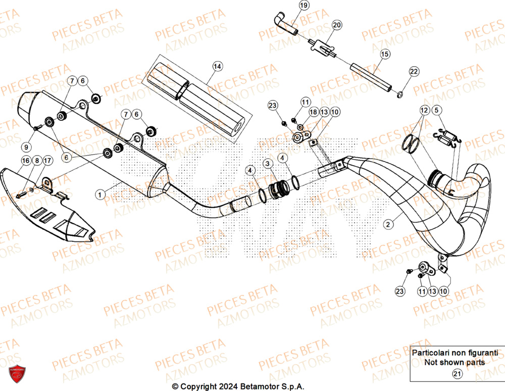 Echappement AZMOTORS Pieces BETA ENDURO RR 300 2T X-PRO - (2025)