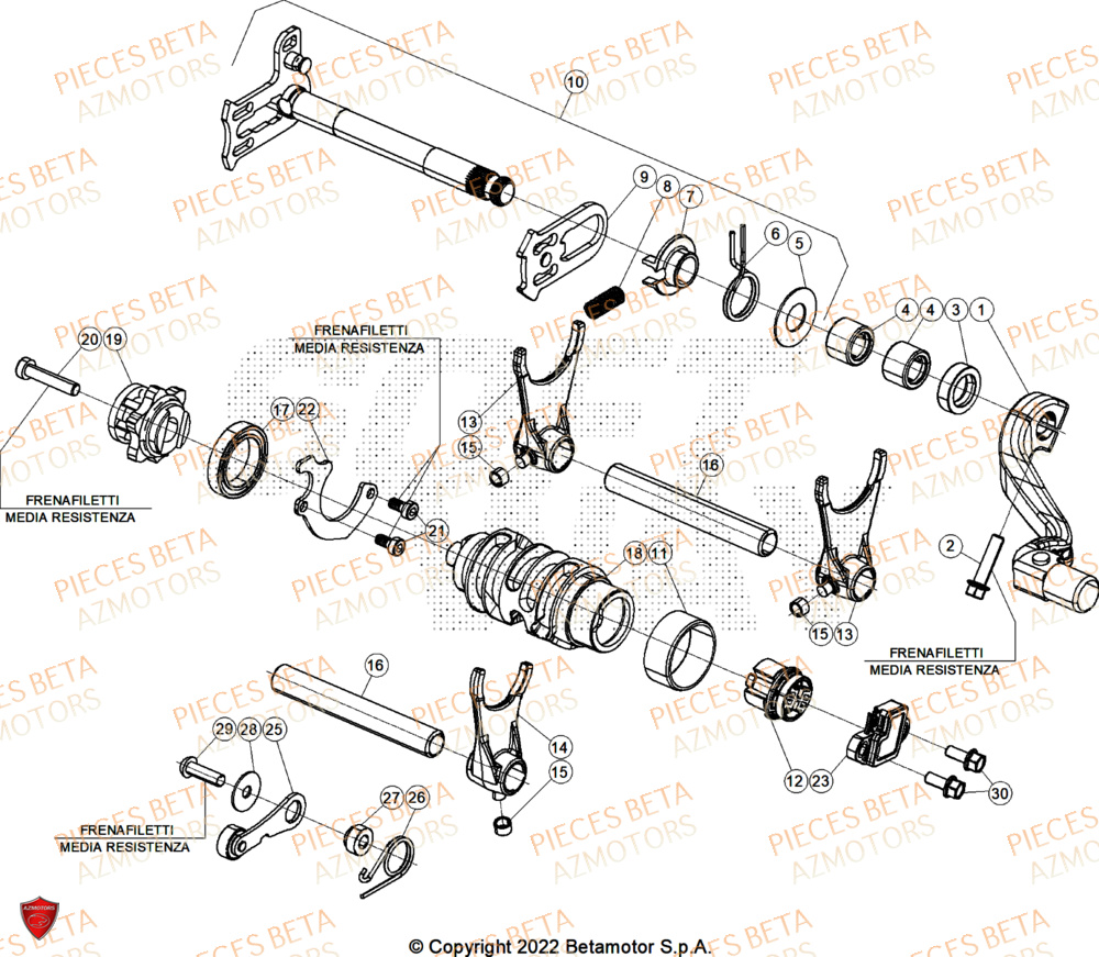 Selecteur De Vitesses AZMOTORS Pieces BETA ENDURO RR 350 4T X-PRO/EURO5+ - (2025)