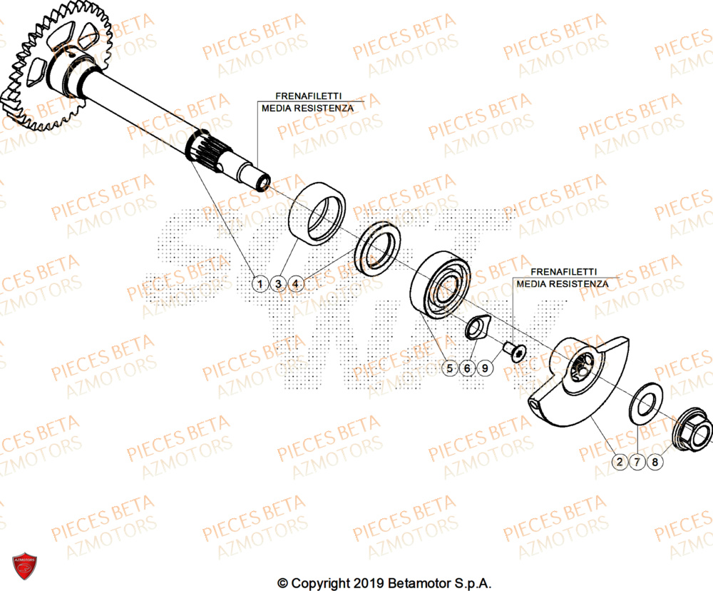 Arbre Equilibrage AZMOTORS Pieces BETA ENDURO RR 390 4T RACE/EURO 5+ - (2025)
