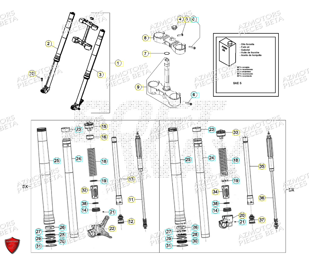 Fourche AZMOTORS PiÃ¨ces Beta RR 125 2T - 2024
