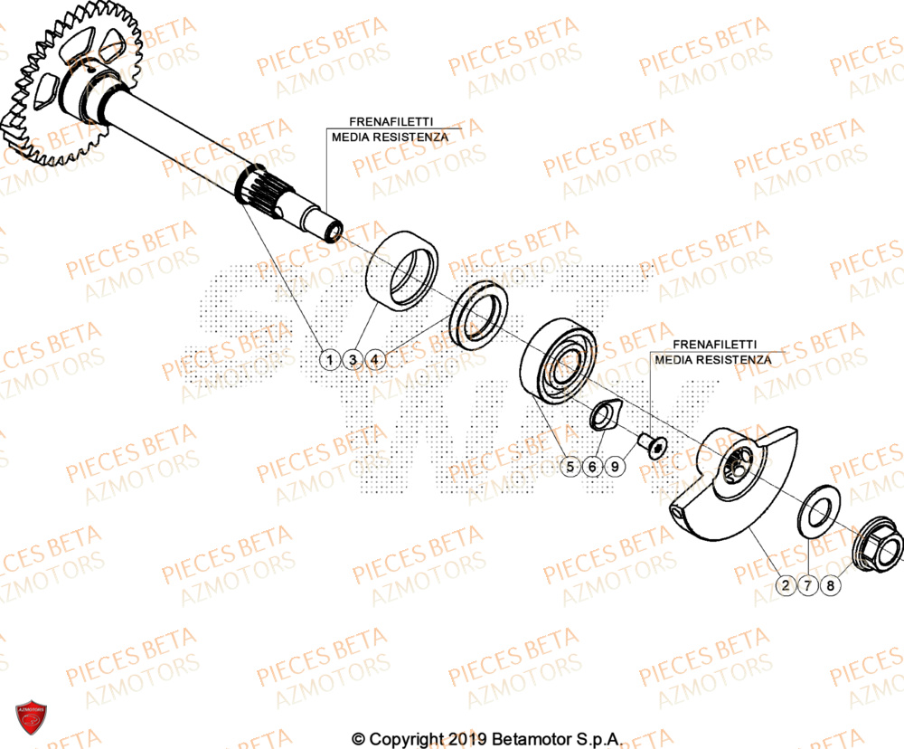 Arbre D Equilibrage AZMOTORS Pieces BETA ENDURO RR 430 4T - (2024)