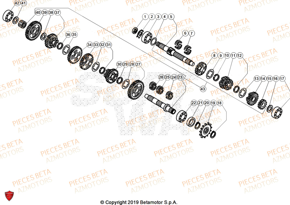 Transmission AZMOTORS PiÃ¨ces Beta TRIAL EVO 125 FACTORY 2T 2025