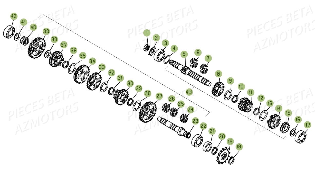 Boite A Vitesses AZMOTORS PiÃ¨ces BETA EVO-200 2T (2011)