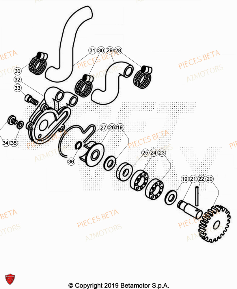 Pompe A Eau AZMOTORS Pièces Beta TRIAL EVO 200 FACTORY 2T 2023