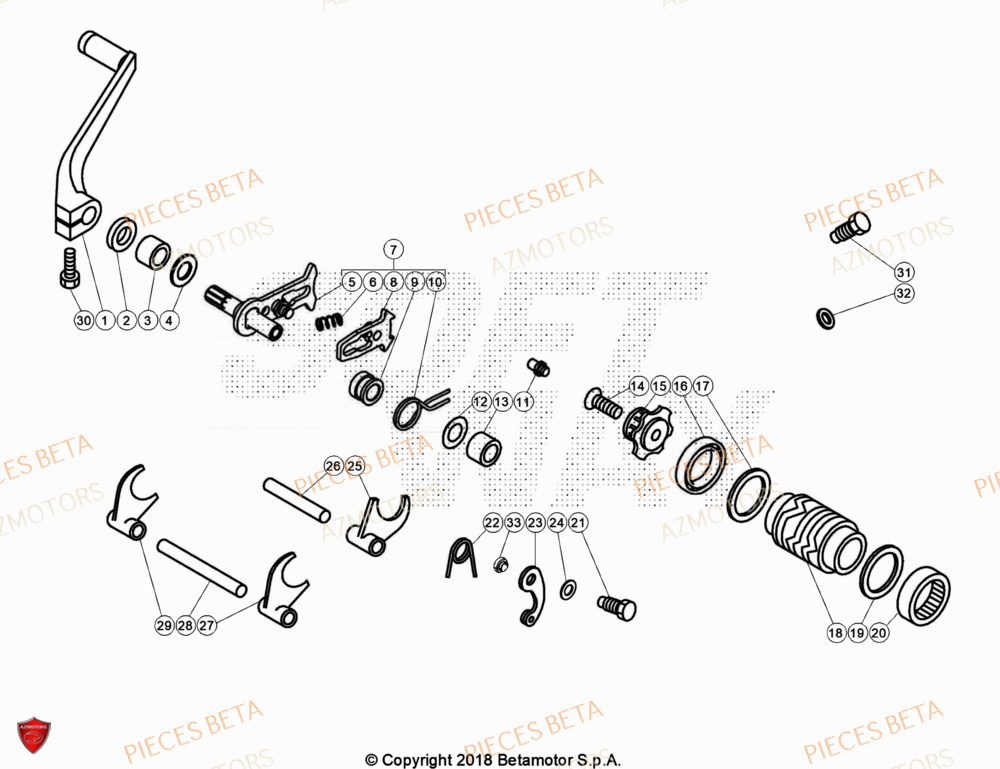 Selecteur De Vitesses AZMOTORS Pièces Beta TRIAL EVO 200 FACTORY 2T 2023
