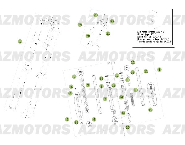 Fourche Du No 250068 A 259999 AZMOTORS PiÃ¨ces BETA EVO-250 2T - [2013]