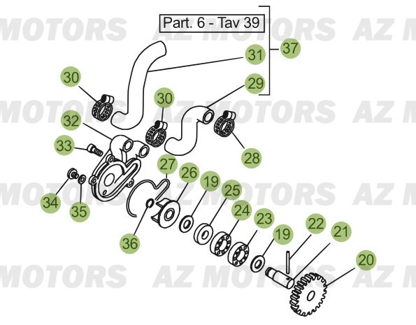 Circuit De Lubrification AZMOTORS PiÃ¨ces BETA EVO-300 2T - [2013]