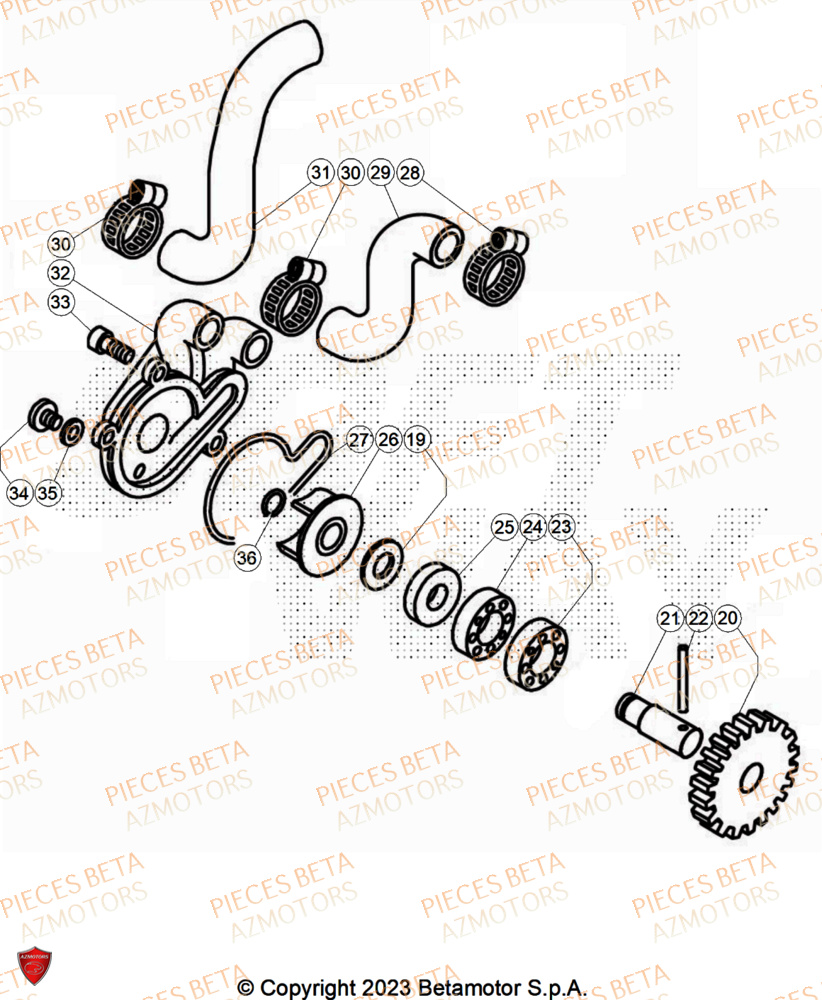Pompe A Eau AZMOTORS PiÃ¨ces Beta TRIAL EVO 300 FACTORY 2T 2025