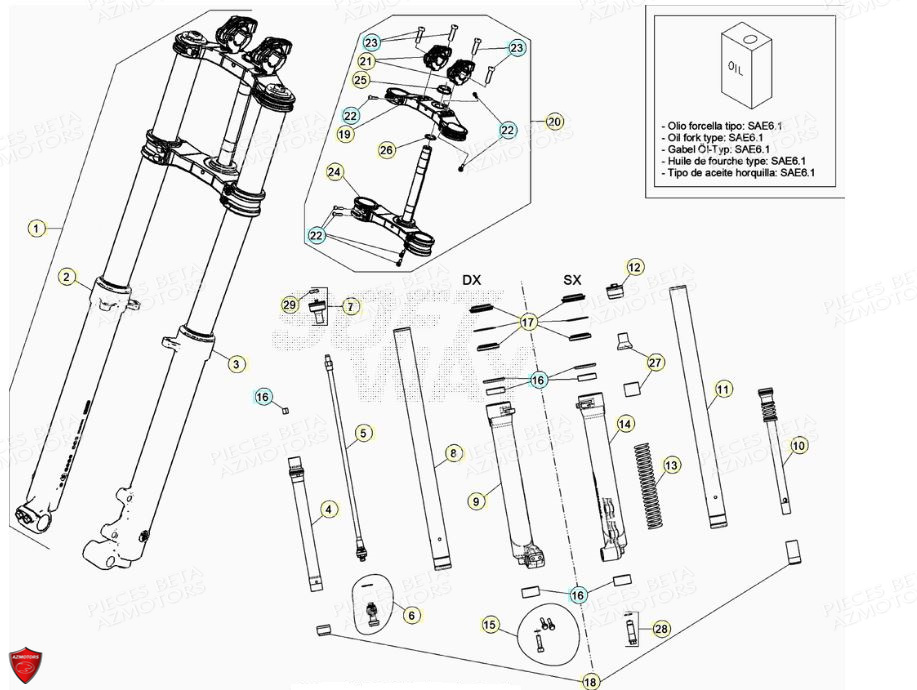 Fourche AZMOTORS PiÃ¨ces BETA EVO 2T -125CC- FACTORY - (2020)