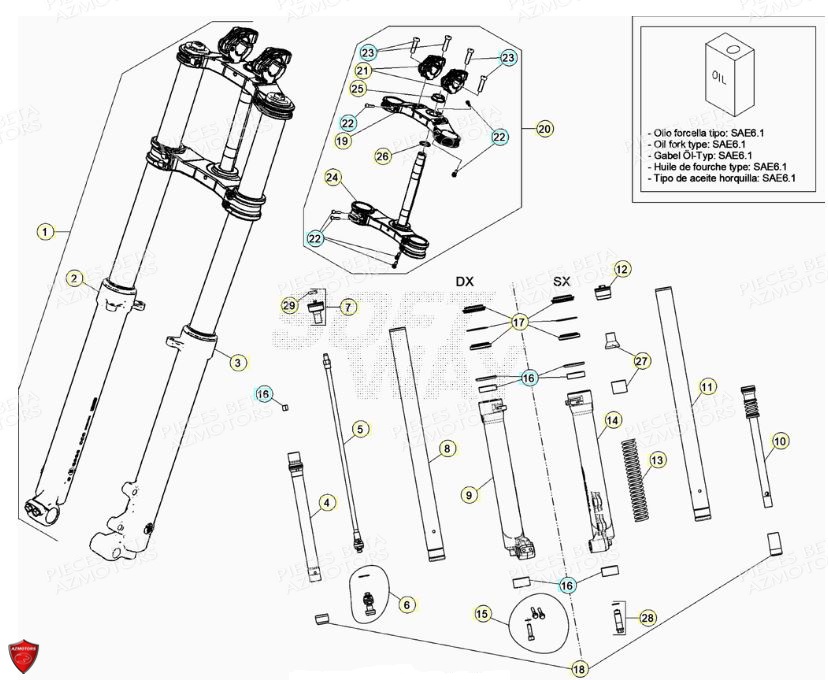 Fourche AZMOTORS PiÃ¨ces BETA EVO 2T -125CC- FACTORY - (2022)
