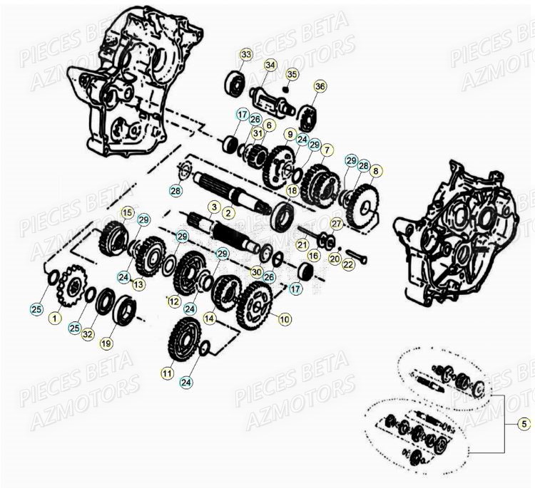 Boite A Vitesses AZMOTORS BETA Motard SPORT 2T 50 2021-2022