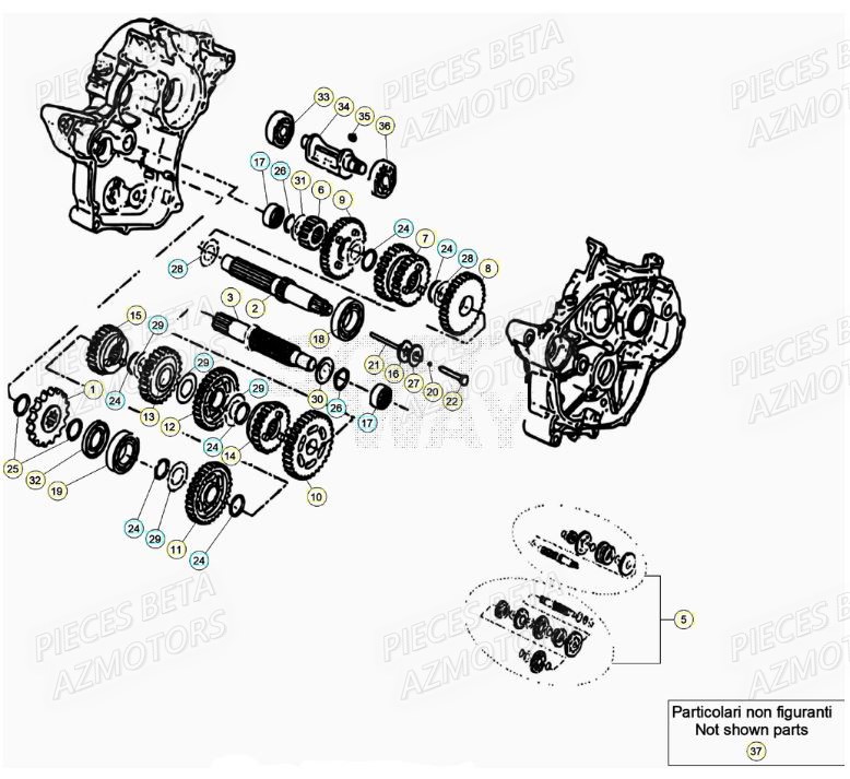 Boite A Vitesses AZMOTORS BETA Motard TRACK R 2T 50 (2020)