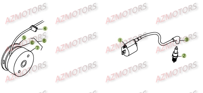 Allumage AZMOTORS PiÃ¨ces BETA REV 3-250cc  - [2005]
