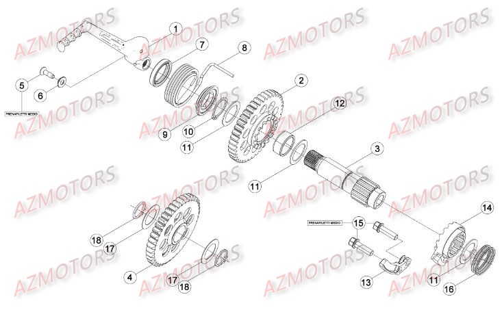 Kick Starter AZMOTORS Pieces BETA RR 2T 250 - (2016)