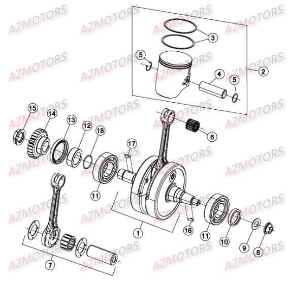 Vilebrequin AZMOTORS Pieces BETA RR 2T 250 - (2016)