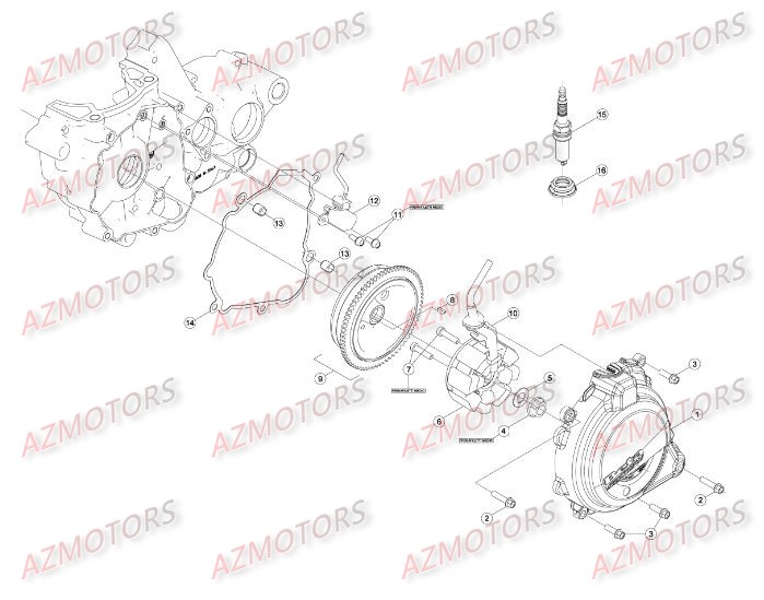 Allumage AZMOTORS Pieces BETA RR 2T 250 - (2015)