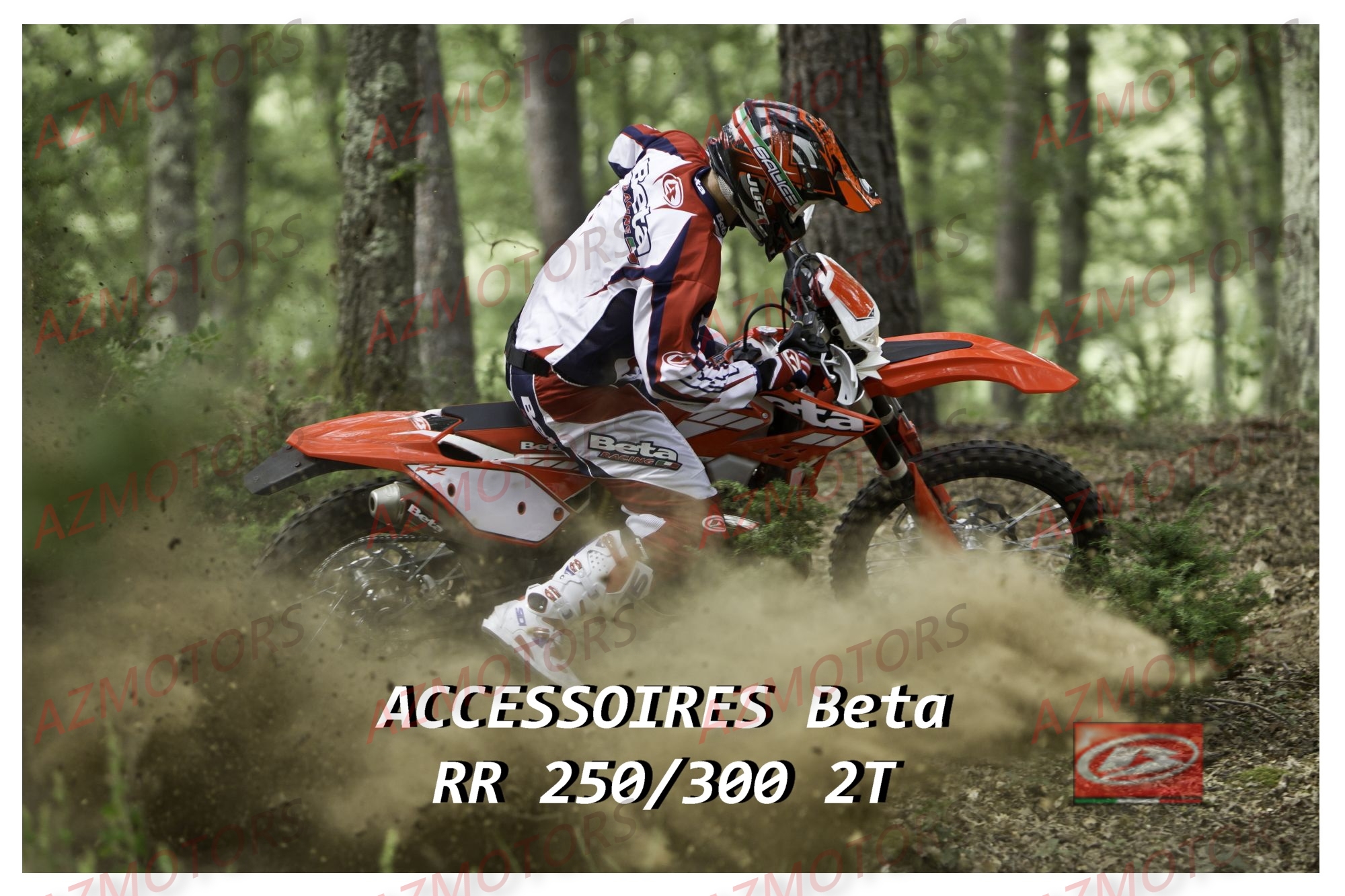 Accessoires AZMOTORS PiÃ¨ces BETA RR 2T 300 - (2013)