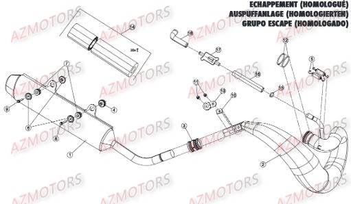 Echappement Homologue Route AZMOTORS Pieces BETA RR 2T 300 - (2015)