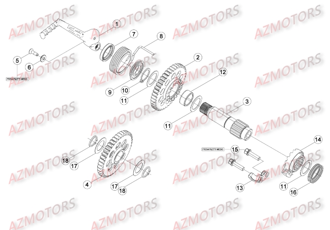 Kick Starter AZMOTORS Pieces BETA RR 2T 300 - (2016)