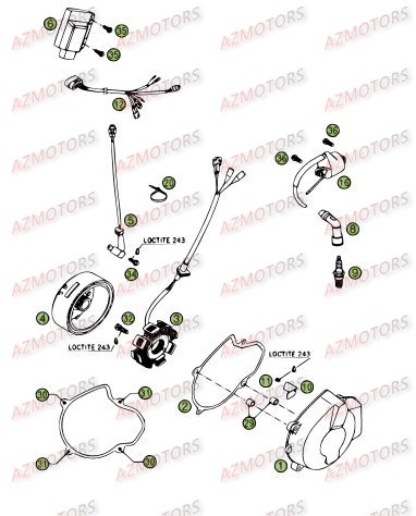 Allumage AZMOTORS PiÃ¨ces Beta RR 4T 400 Enduro - 2009
