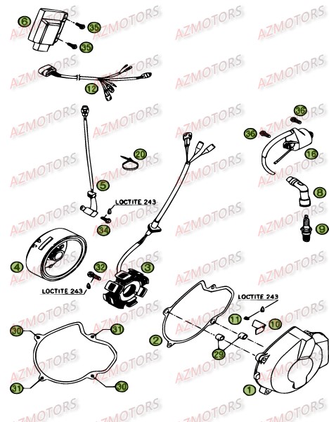 Allumage AZMOTORS PiÃ¨ces Beta RR 4T 450 Enduro - 2009