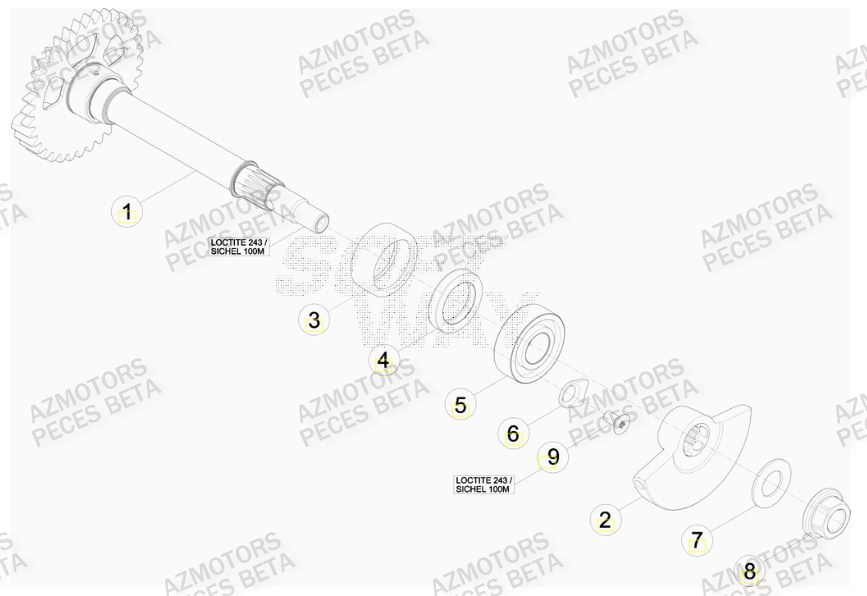 Arbre Equilibrage AZMOTORS PiÃ¨ces BETA RR 400CC FACTORY 4T - [2011]