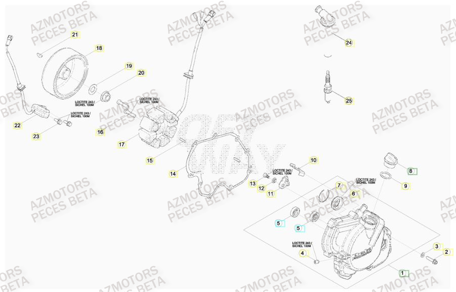 Allumage AZMOTORS PiÃ¨ces BETA RR 450CC FACTORY 4T - [2011]