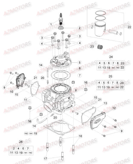 Cylindre AZMOTORS Pieces BETA RR RACING 2T 250 - [2015]