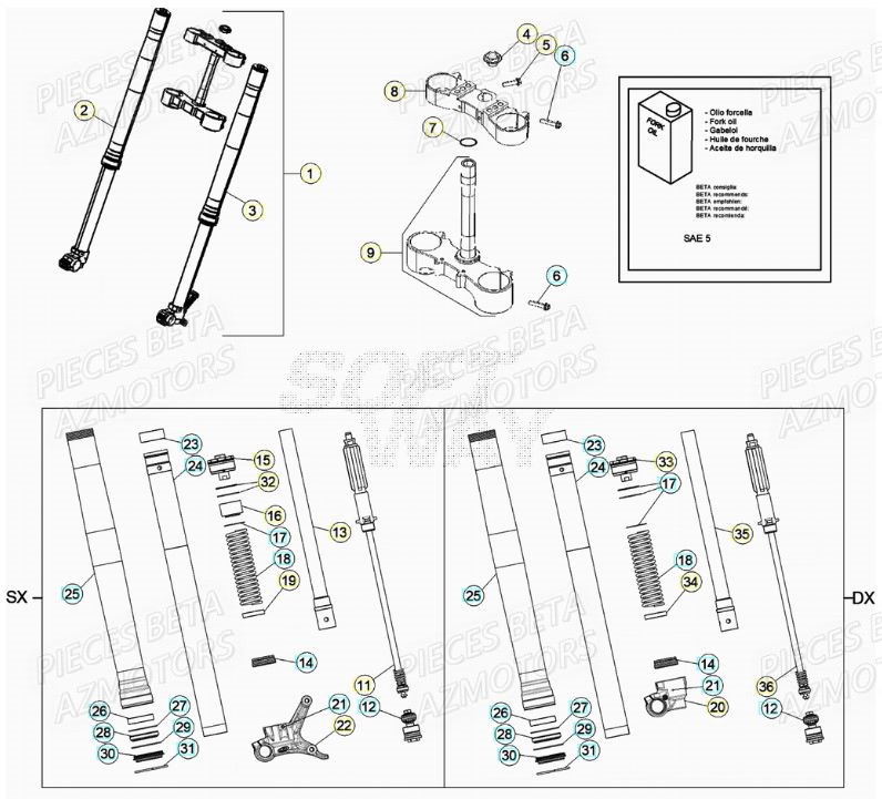 Fourche AZMOTORS PiÃ¨ces RR 125 2T - 2019
