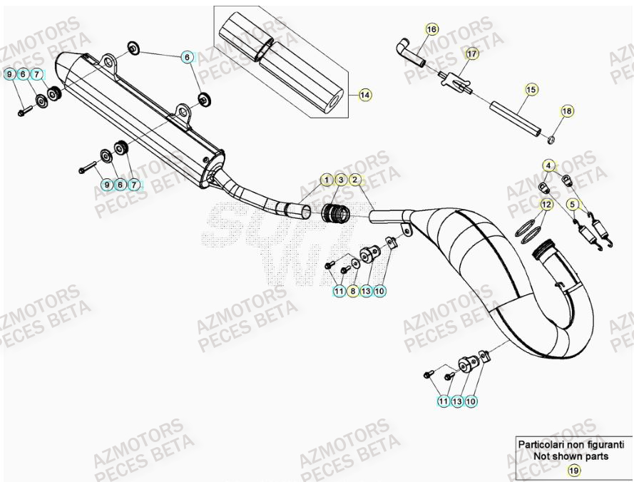 Echappement AZMOTORS PiÃ¨ces RR 125 2T - 2023